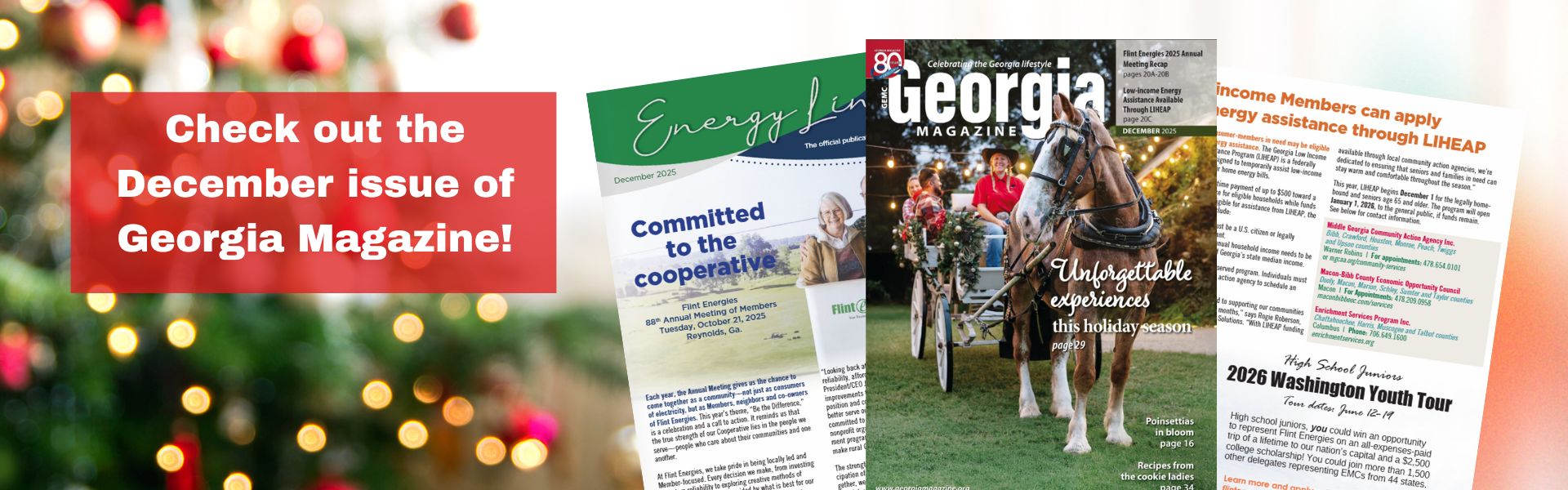 December 2025 Georgia Magazine