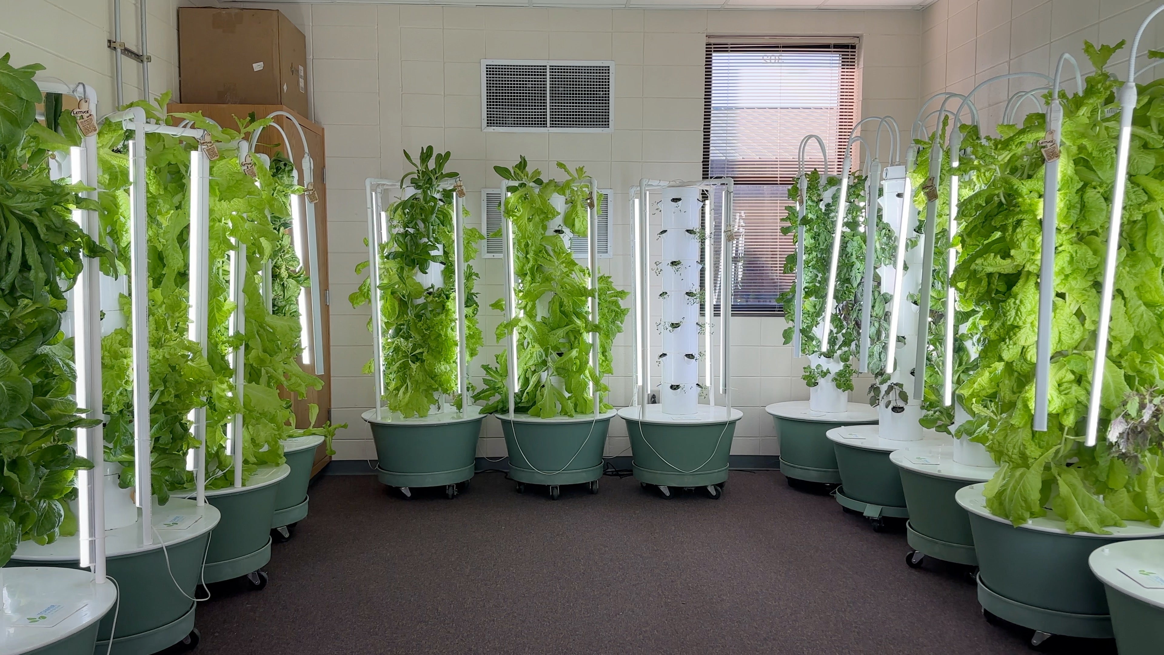 Jake Harvey Mossy Creek Middle hydroponics lab